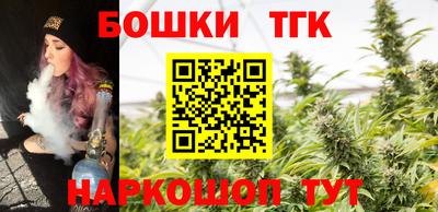 тгк Бийск