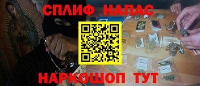 тгк Бийск