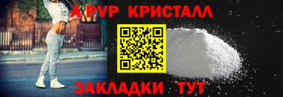 тгк Бийск