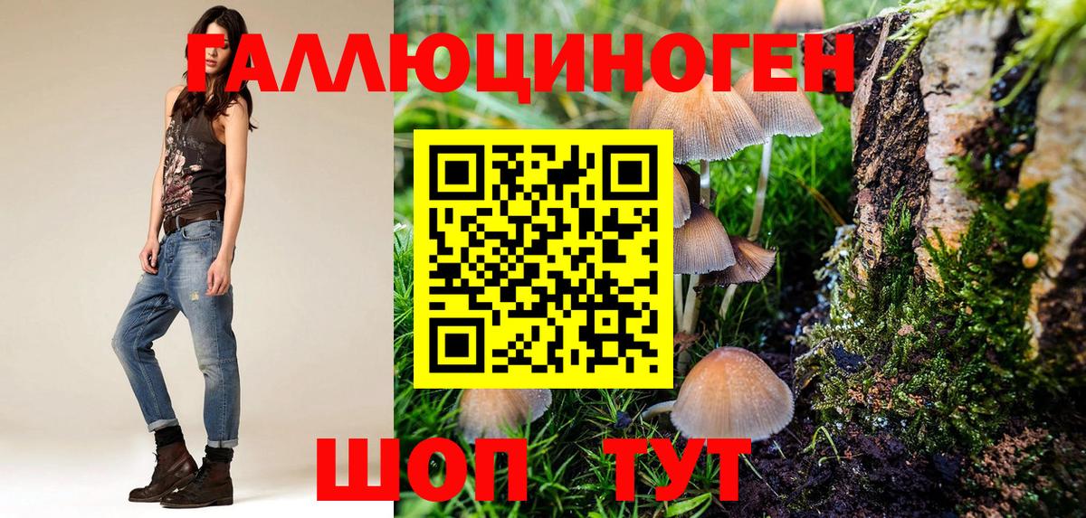 Галлюциногенные грибы MAGIC MUSHROOMS Калуга