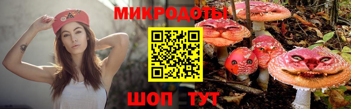 Псилоцибиновые грибы прущие грибы  как найти закладки  Калуга  Псилоцибиновые грибы Cubensis  Вход с VPN 